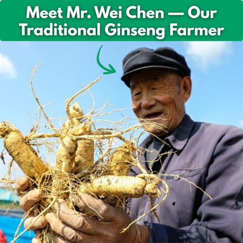 Red Asian Ginseng